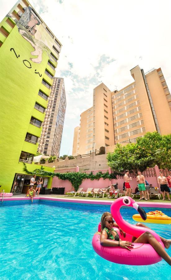 Now Benidorm 아파트 외부 사진